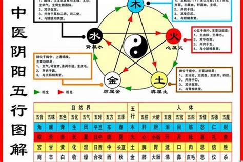 1984五行屬什麼|【1984年五行】揭曉！1984年五行屬什麼？鼠年的你五行命運大。